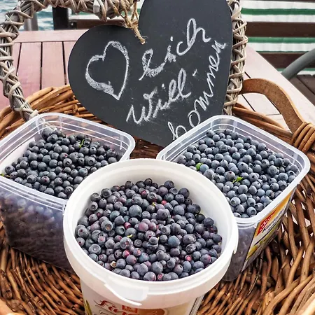 Bootshaus Auf Dem By Interhome *