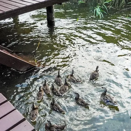 Bootshaus Auf Dem By Interhome